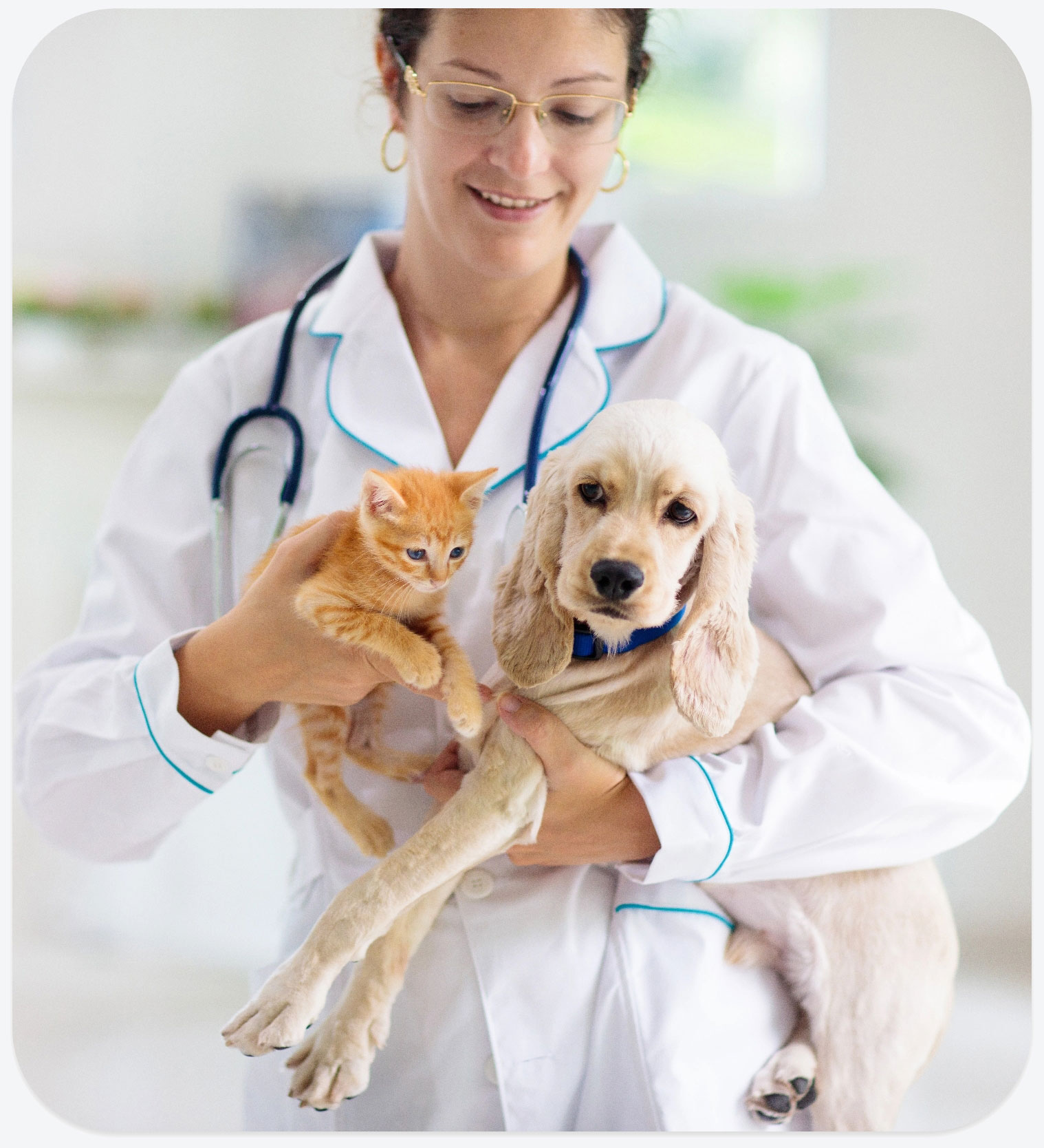 Professionisti che analizzano documenti in ufficio durante una consulenza