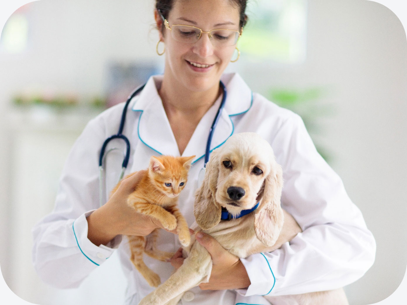 Professionisti che analizzano documenti in ufficio durante una consulenza